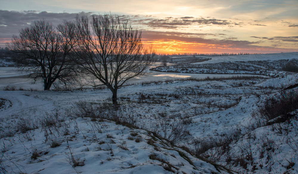 Фотографія Утро в январе / Сергей Добровольский / photographers.ua