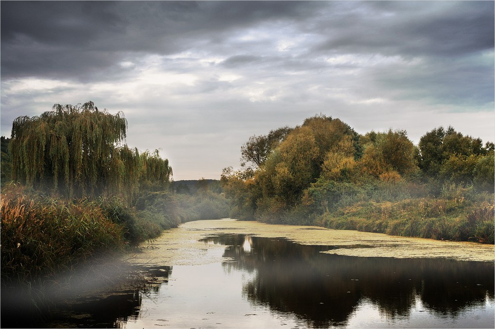 Фотографія Nature / Alexander Emelin / photographers.ua