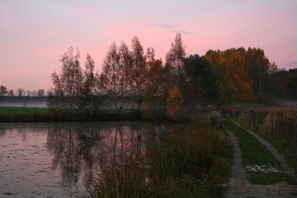 Фотографія Осень в розовом свете / geokon (Александр) / photographers.ua