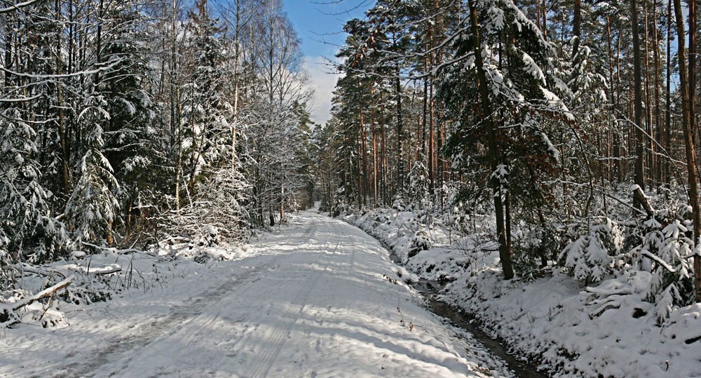Фотографія Словом, зима!.. / geokon (Александр) / photographers.ua