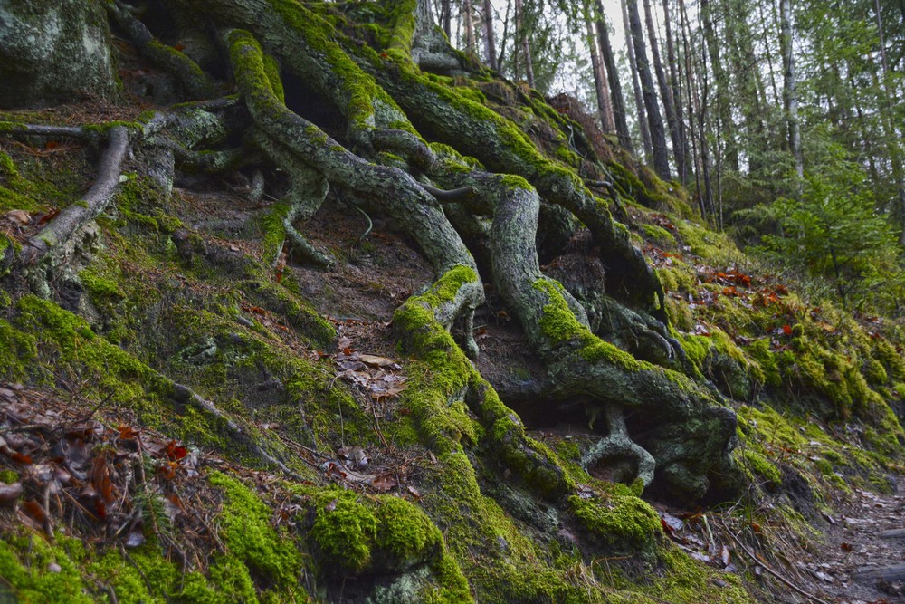 Фотографія Чужие, 10-й сезон / geokon (Александр) / photographers.ua