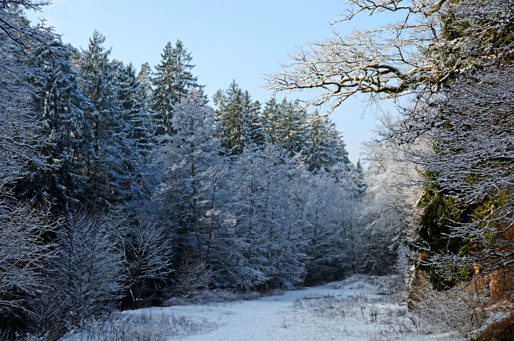 Фотографія Зима, денёк, снежок, уголок / geokon (Александр) / photographers.ua