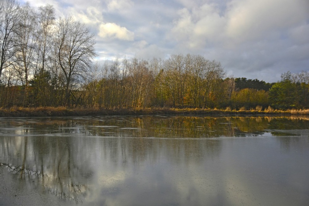 Фотографія Чи то осінь, а чи то зима... / geokon (Александр) / photographers.ua