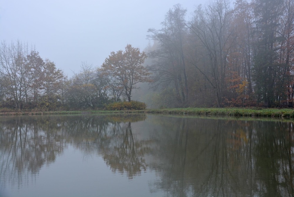 Фотографія Ранок, осінь, пруд... / geokon (Александр) / photographers.ua