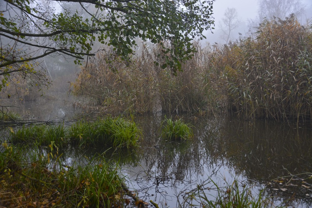 Фотографія Осіння / geokon (Александр) / photographers.ua