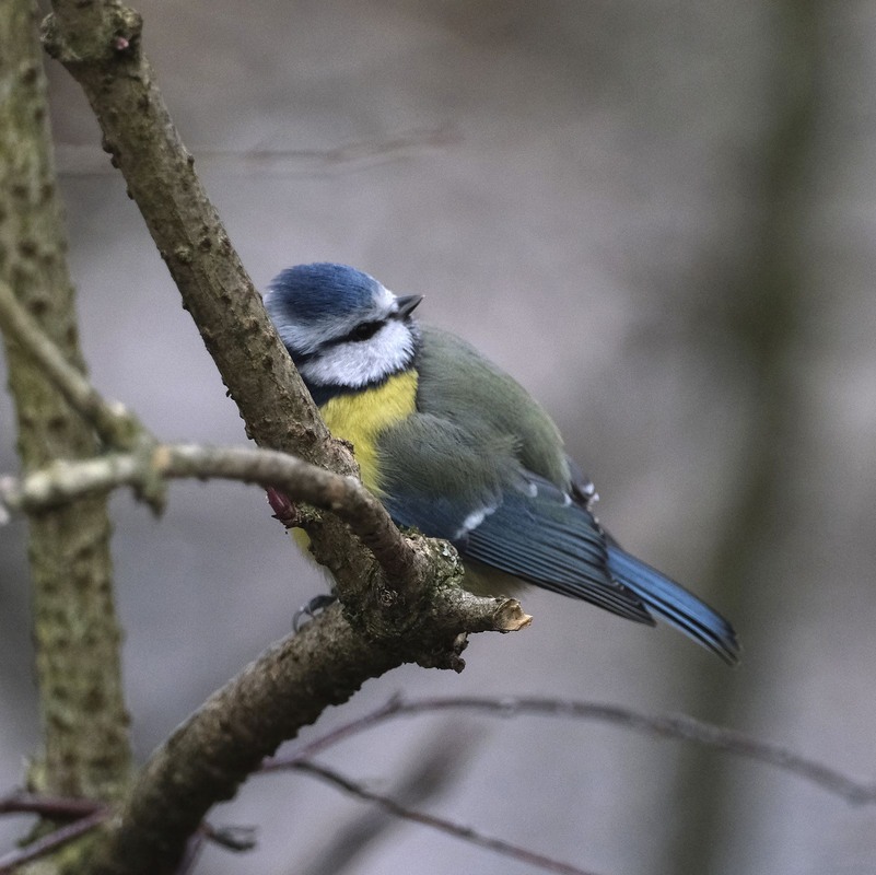Фотографія Релакс / geokon (Александр) / photographers.ua