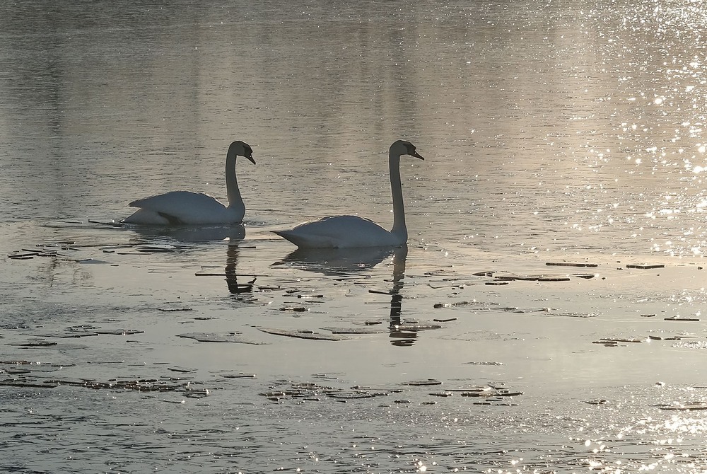 Фотографія Льодова проводка / geokon (Александр) / photographers.ua