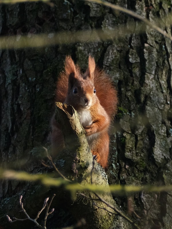 Фотографія Ох, нічого собі!.. / geokon (Александр) / photographers.ua