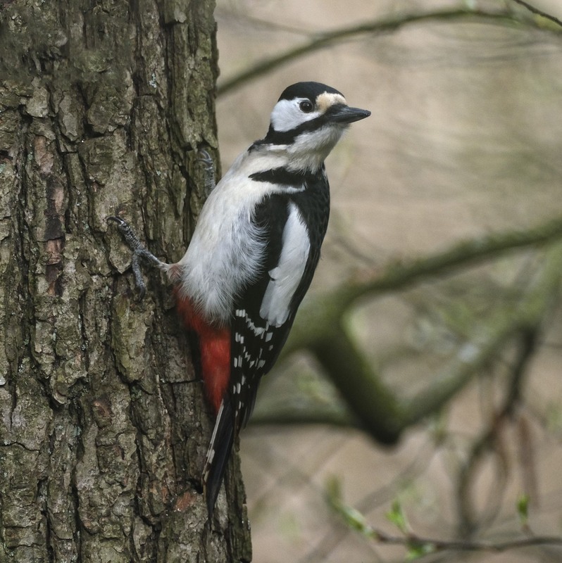 Фотографія Зацікавленість / geokon (Александр) / photographers.ua