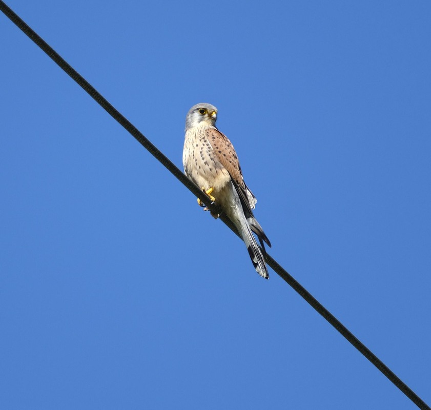 Фотографія Синій квадрат або Погляд звисока / geokon (Александр) / photographers.ua