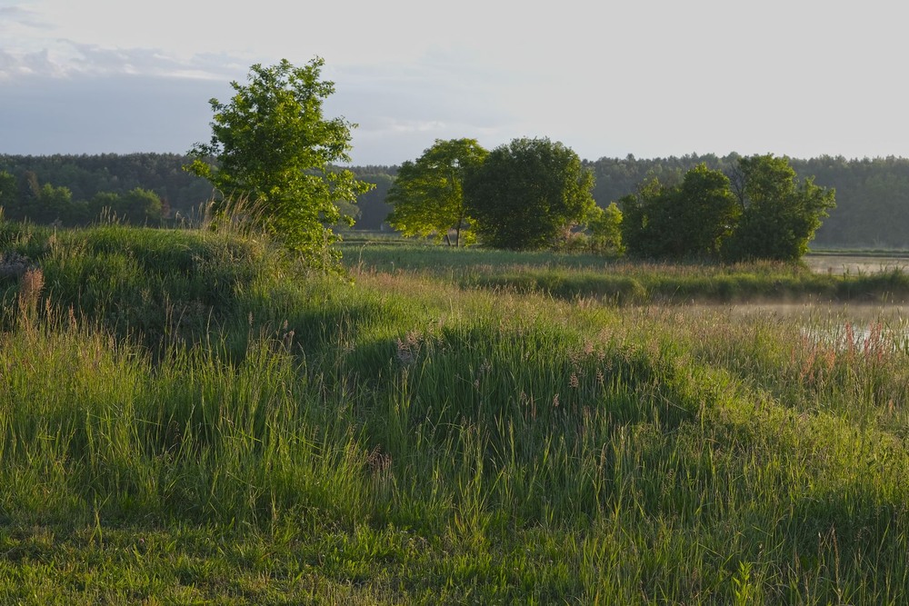 Фотографія Ранок в травневих кольорах / geokon (Александр) / photographers.ua