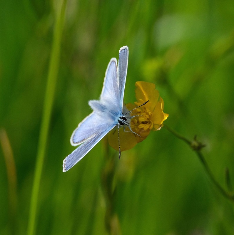 Фотографія З серії "В інших світах" / geokon (Александр) / photographers.ua