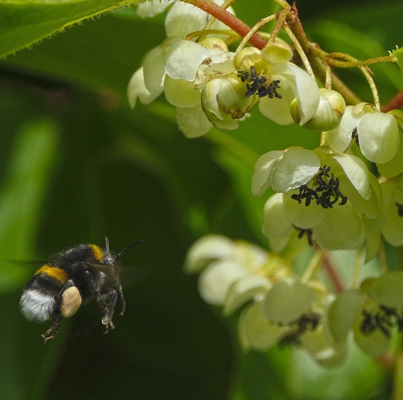 Фотографія На підльоті / geokon (Александр) / photographers.ua