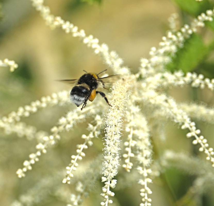 Фотографія Вперед до таємниць всесвіту! / geokon (Александр) / photographers.ua
