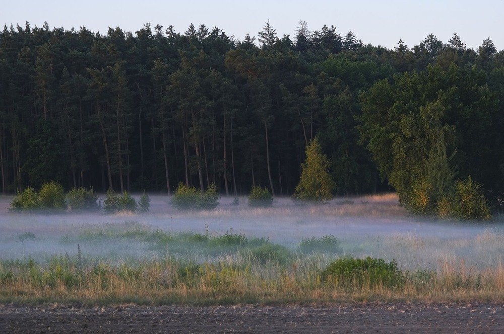 Фотографія День розпочався! / geokon (Александр) / photographers.ua