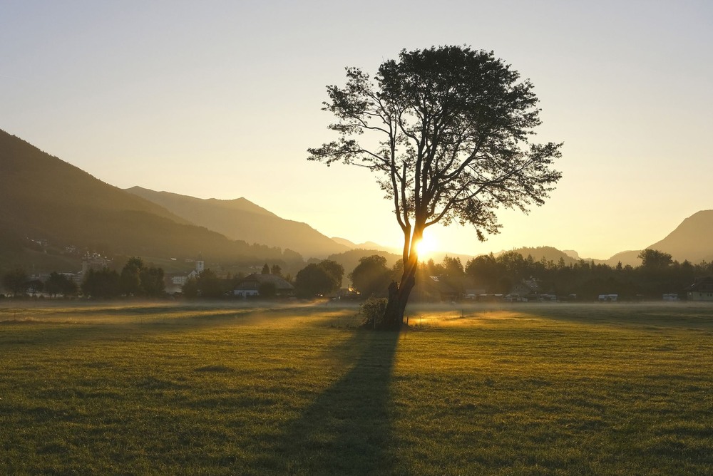 Фотографія *** / geokon (Александр) / photographers.ua