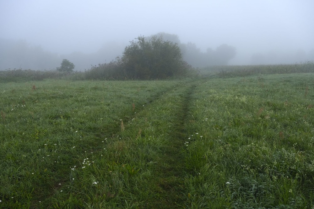 Фотографія Туманним ранком на початку осені / geokon (Александр) / photographers.ua