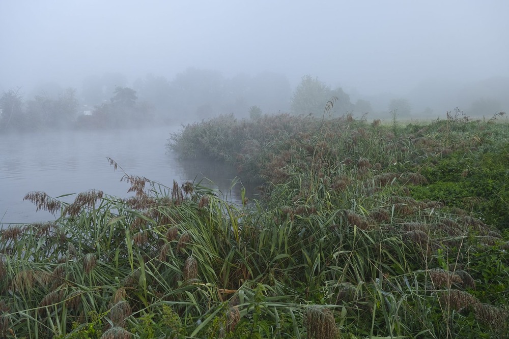 Фотографія Якось туманним ранком / geokon (Александр) / photographers.ua