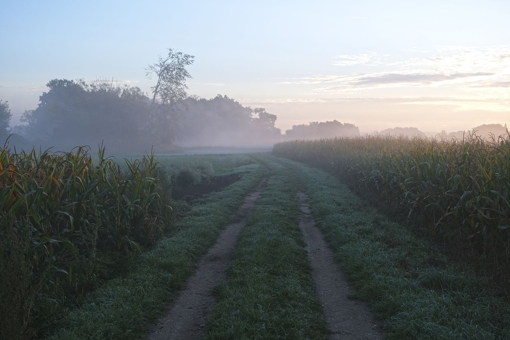 Фотографія Вранішній краєвид / geokon (Александр) / photographers.ua