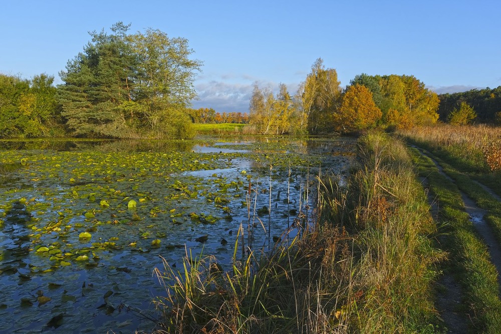 Фотографія *** / geokon (Александр) / photographers.ua