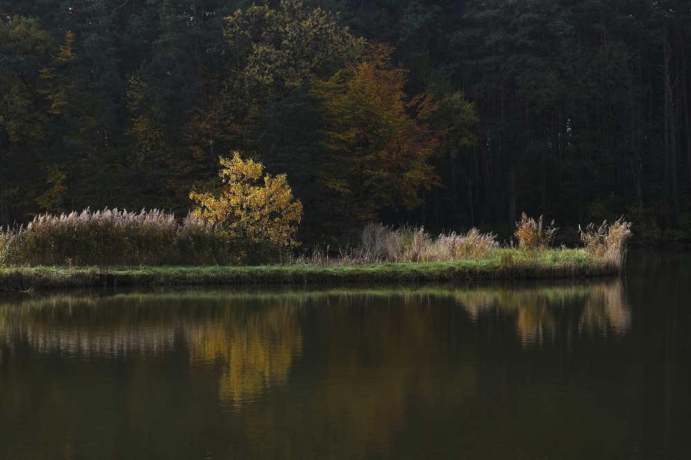 Фотографія Мисок / geokon (Александр) / photographers.ua