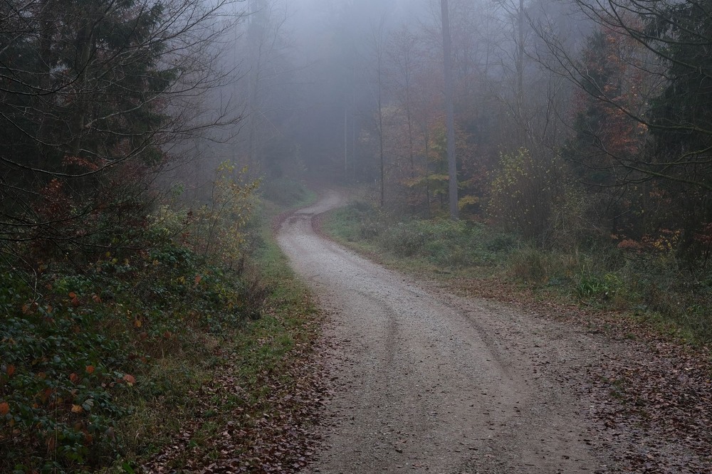 Фотографія Що там попереду? / geokon (Александр) / photographers.ua