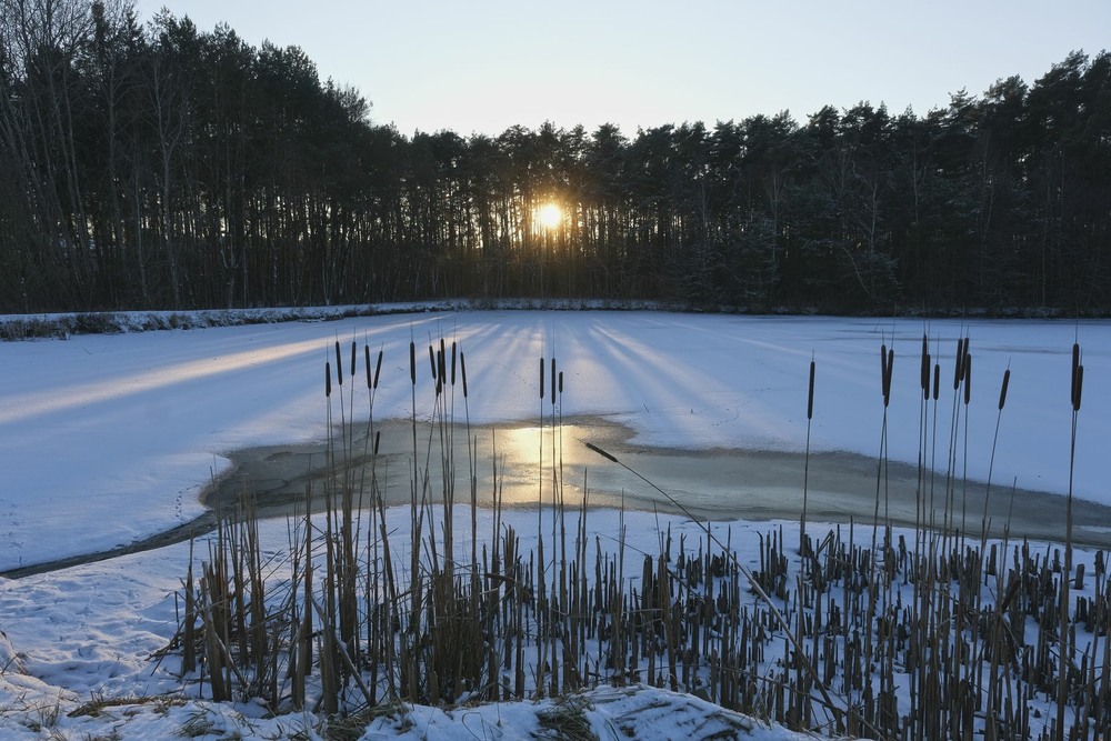 Фотографія Зима, став, вечір / geokon (Александр) / photographers.ua