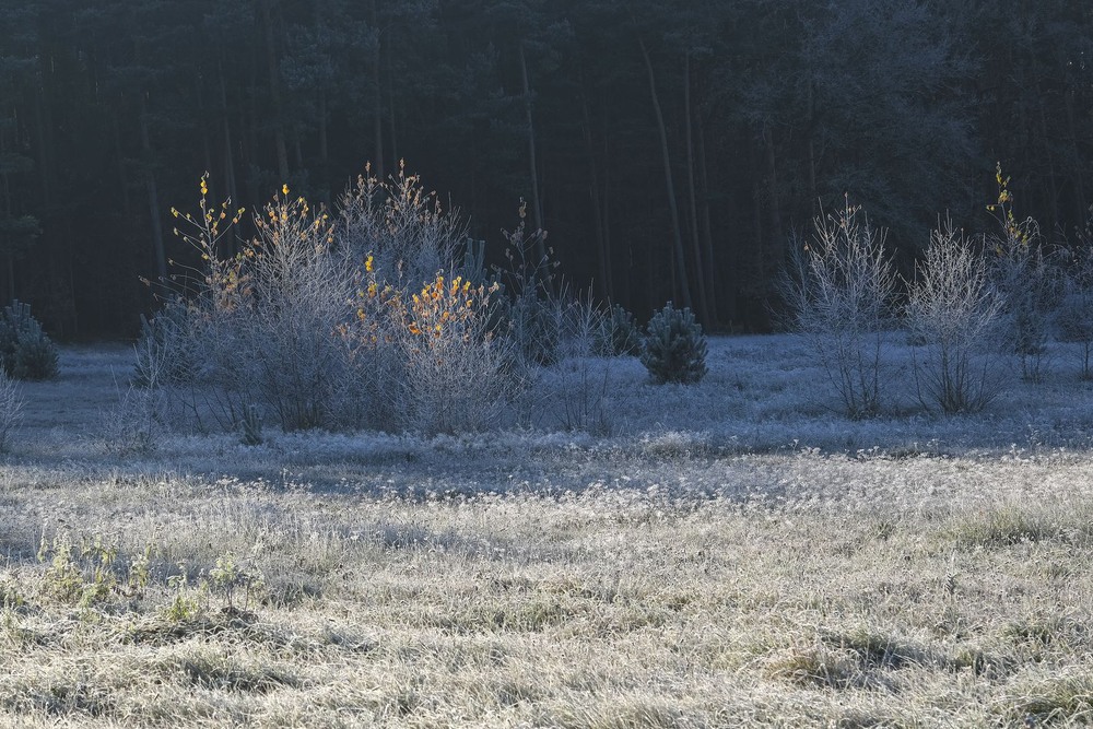 Фотографія Осіння декорація / geokon (Александр) / photographers.ua