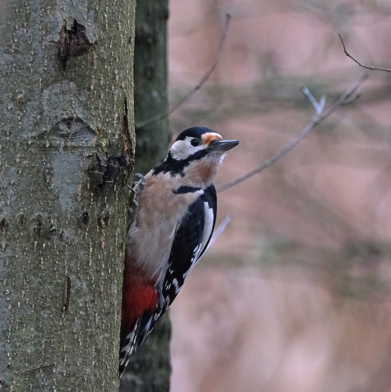Фотографія А що там у світі? / geokon (Александр) / photographers.ua