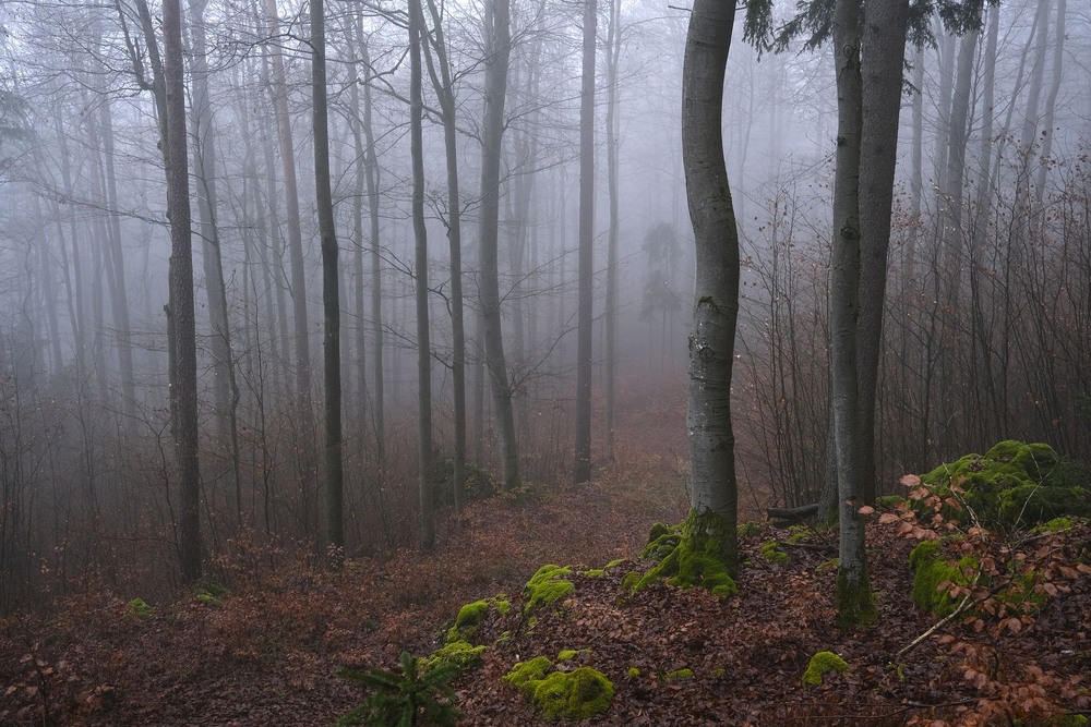 Фотографія Десь у горах в тумані / geokon (Александр) / photographers.ua