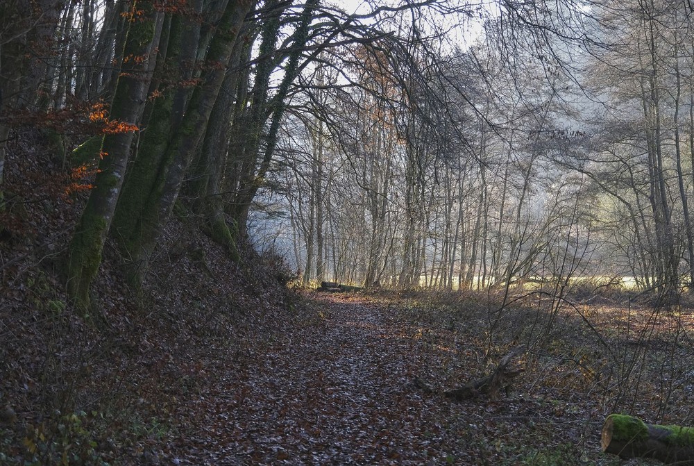 Фотографія Ранкова / geokon (Александр) / photographers.ua