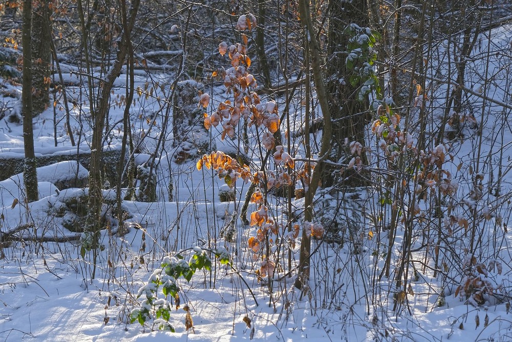 Фотографія *** / geokon (Александр) / photographers.ua