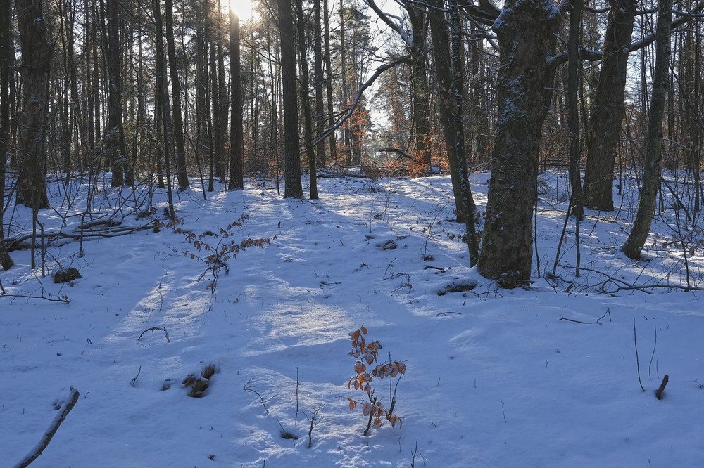 Фотографія *** / geokon (Александр) / photographers.ua