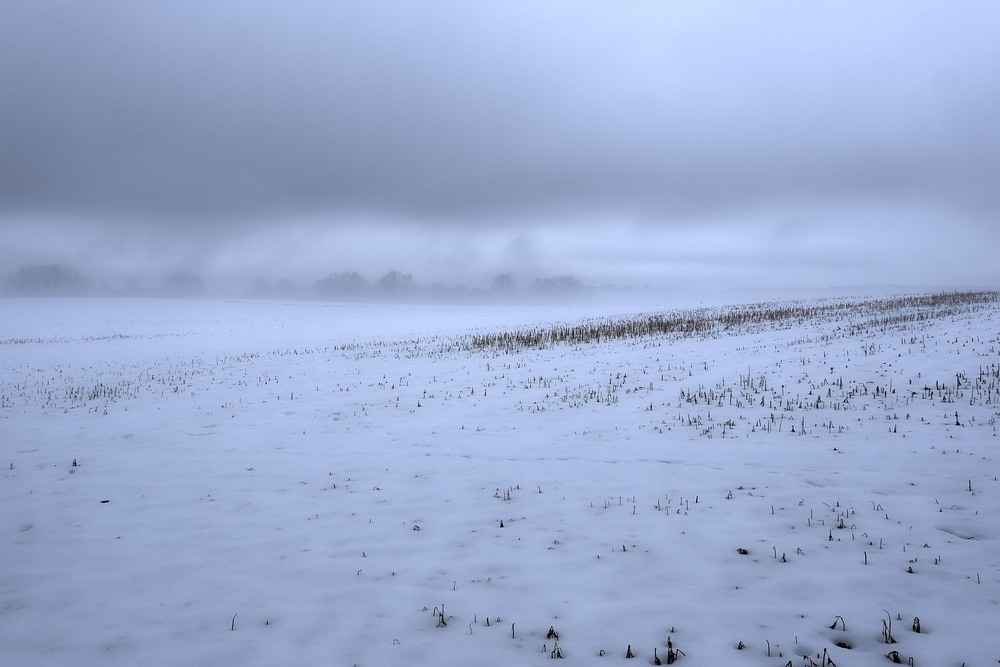 Фотографія Біла імла / geokon (Александр) / photographers.ua