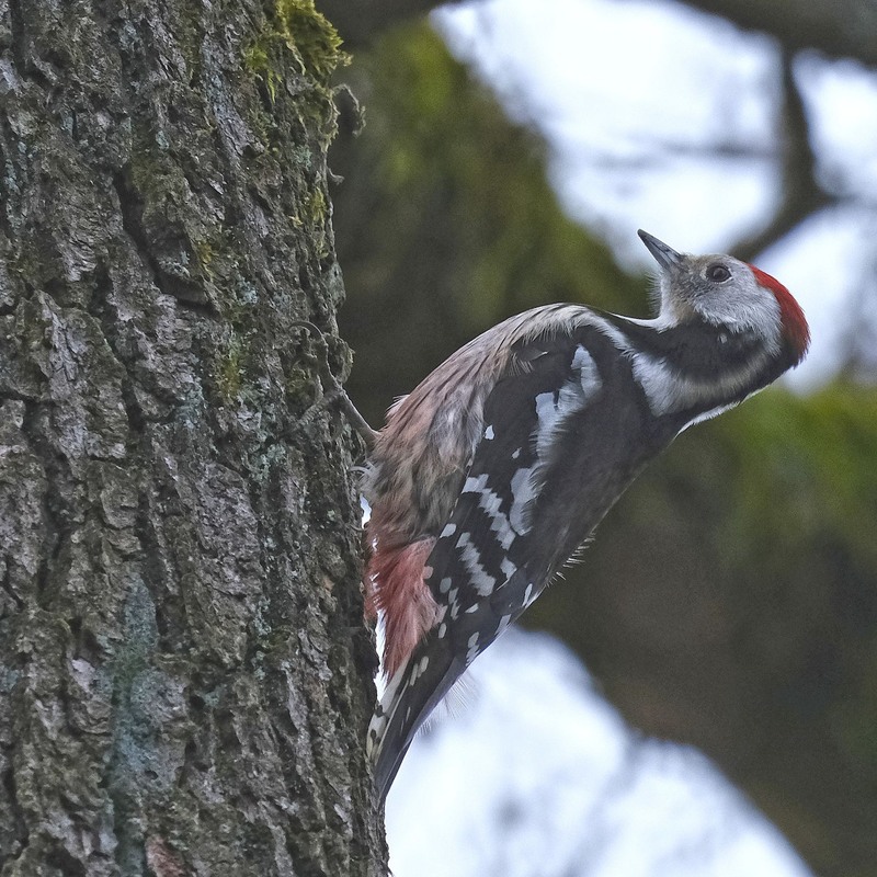 Фотографія Верифікація результатів / geokon (Александр) / photographers.ua