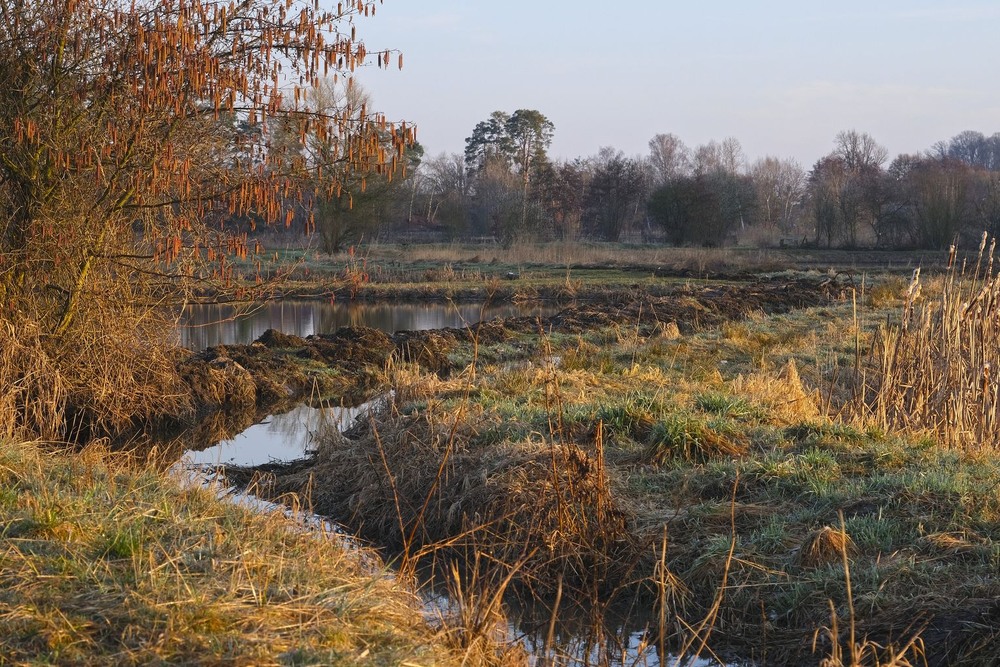 Фотографія *** / geokon (Александр) / photographers.ua