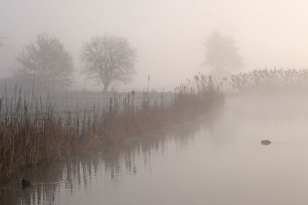 Фотографія Весняний релакс / geokon (Александр) / photographers.ua