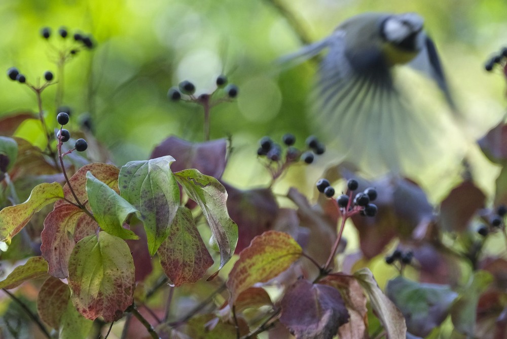 Фотографія Десь у інших світах / geokon (Александр) / photographers.ua