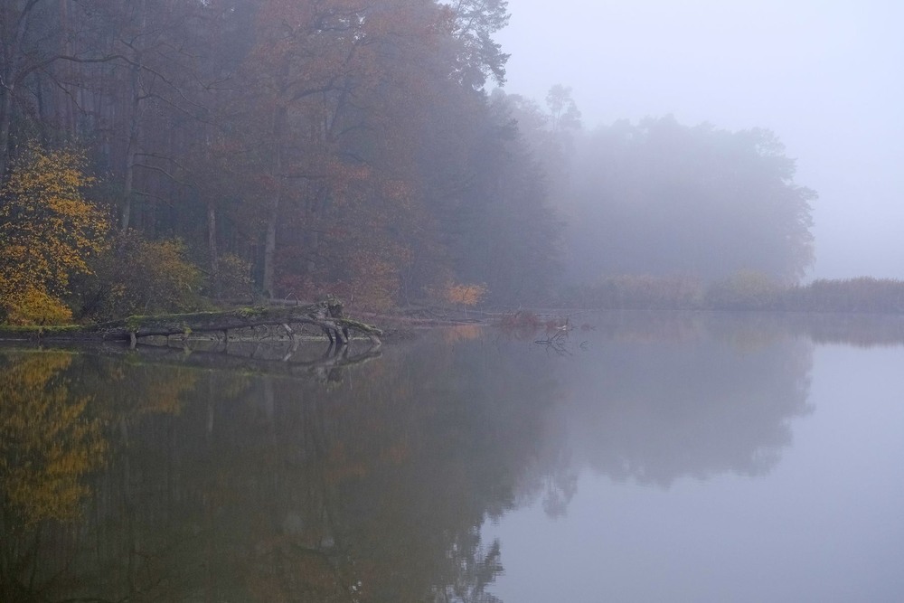 Фотографія З осінньої серії / geokon (Александр) / photographers.ua