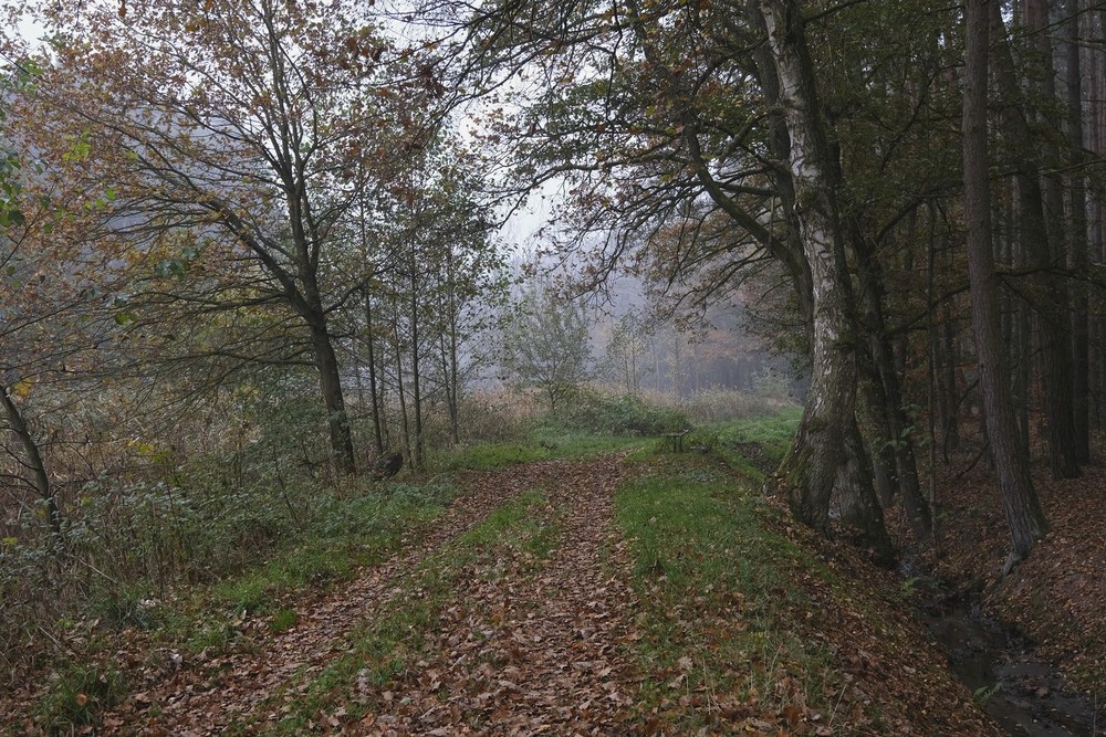 Фотографія З осінньої серії / geokon (Александр) / photographers.ua