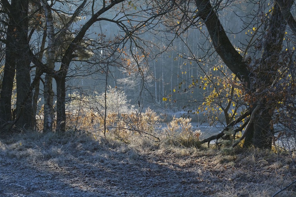 Фотографія Якось сонячним ранком / geokon (Александр) / photographers.ua