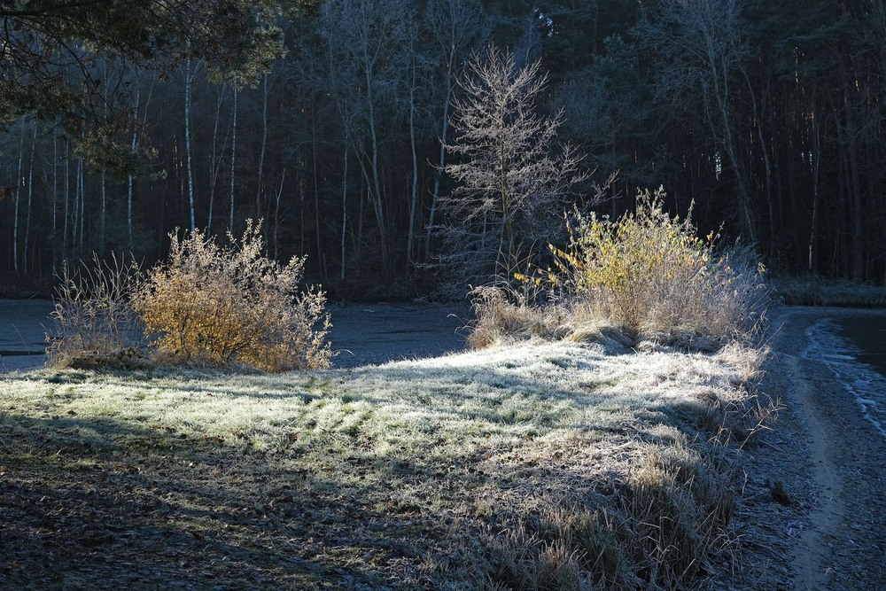 Фотографія І ще трохи осені / geokon (Александр) / photographers.ua