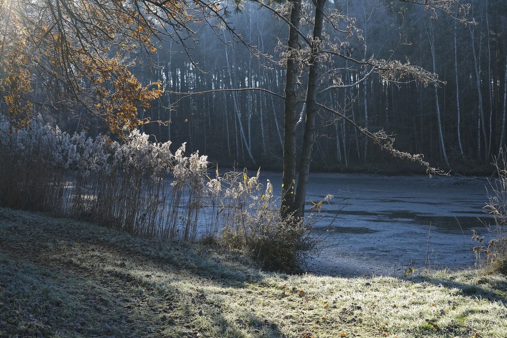 Фотографія Якось сонячним ранком 2 / geokon (Александр) / photographers.ua