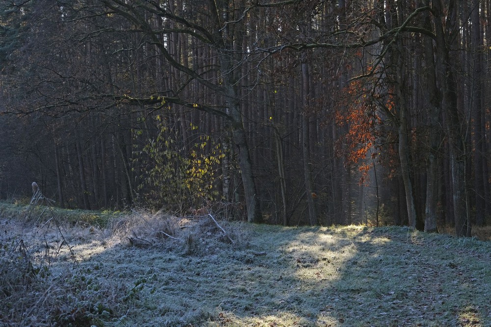 Фотографія Ліхтарі / geokon (Александр) / photographers.ua