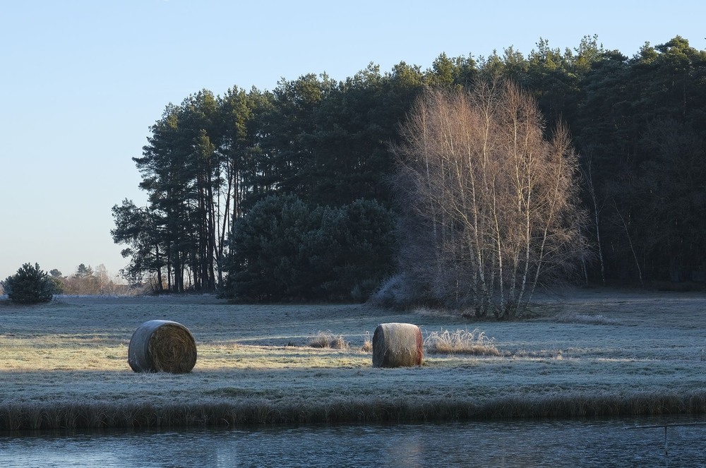 Фотографія *** / geokon (Александр) / photographers.ua