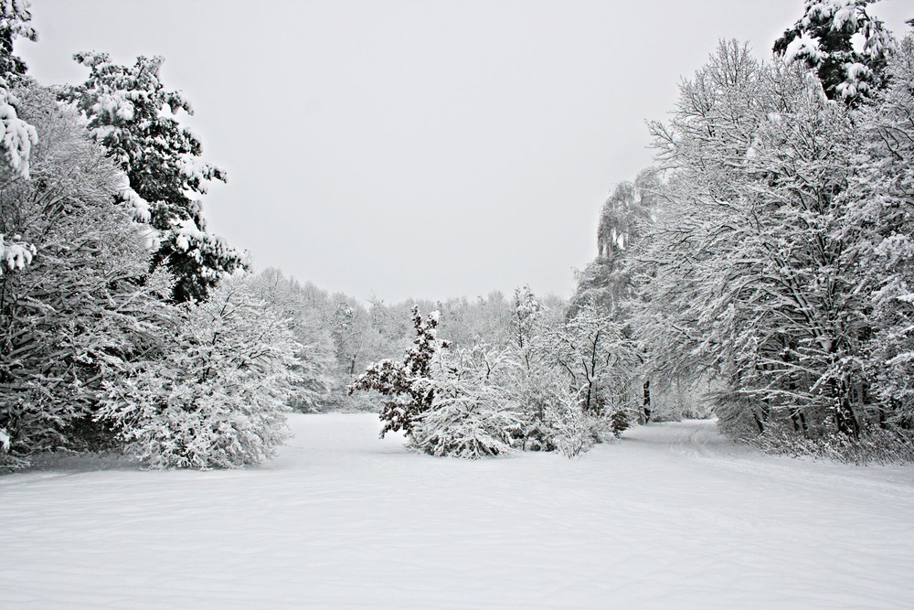 Фотографія Зима, однако!.. / geokon (Александр) / photographers.ua
