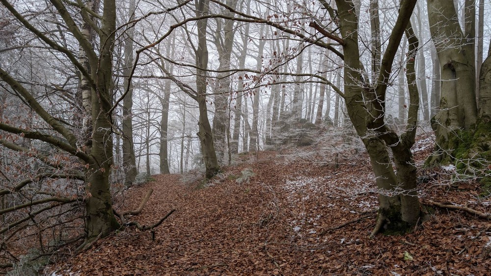 Фотографія *** / geokon (Александр) / photographers.ua