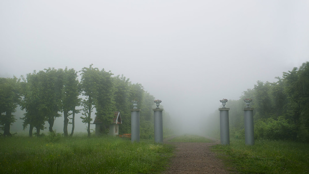 Фотографія Підгорецький туман.. / Данило Гаман / photographers.ua