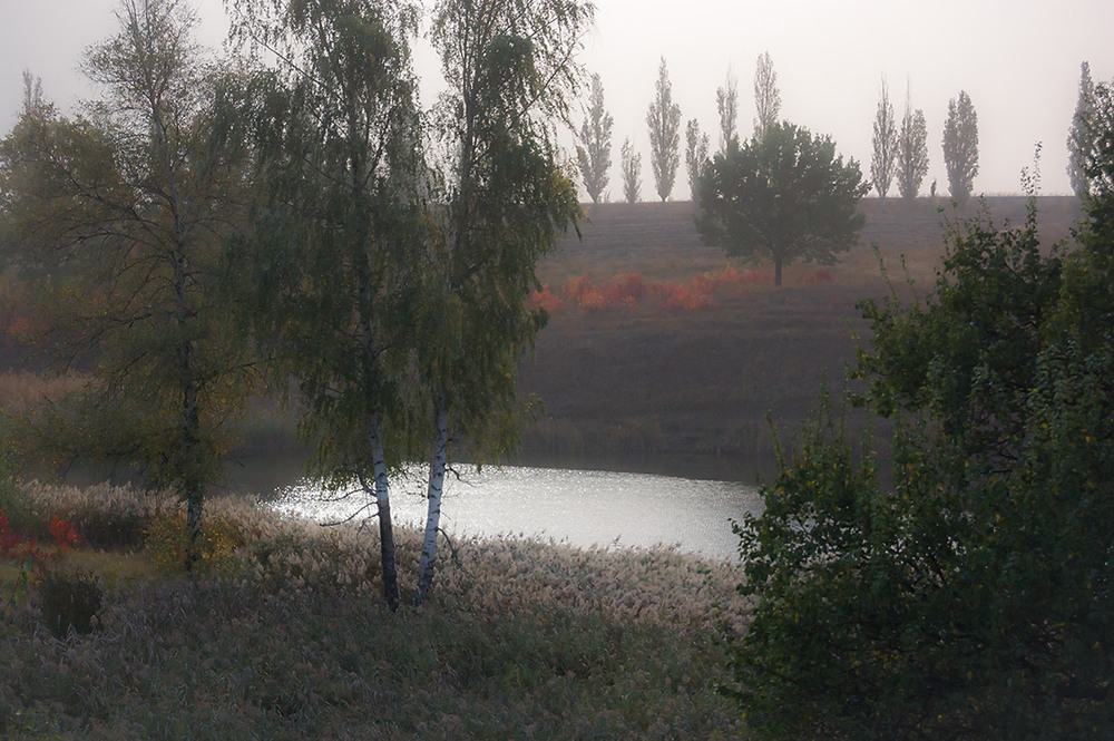 Фотографія *** / Евгений Шамай / photographers.ua
