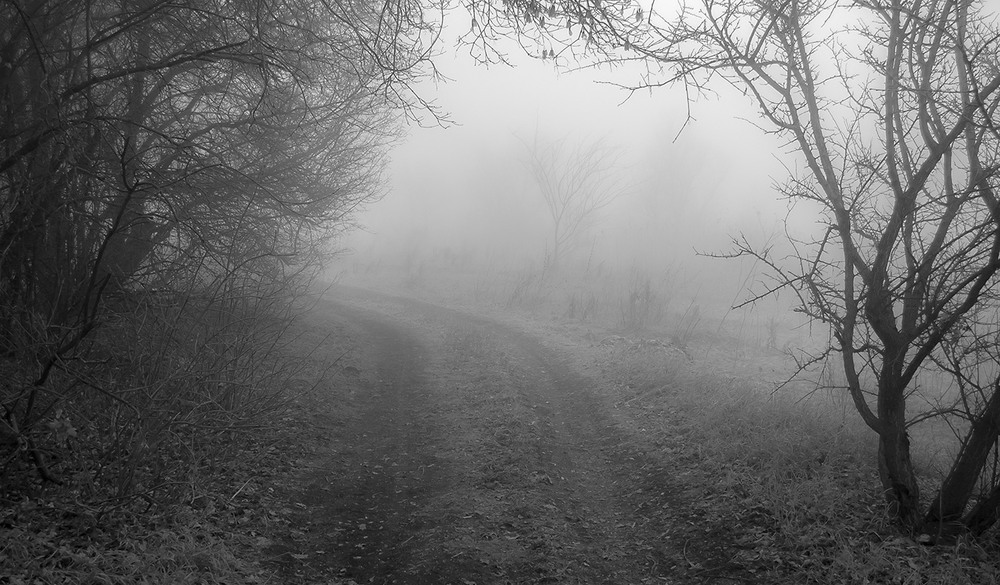 Фотографія *** / Евгений Шамай / photographers.ua